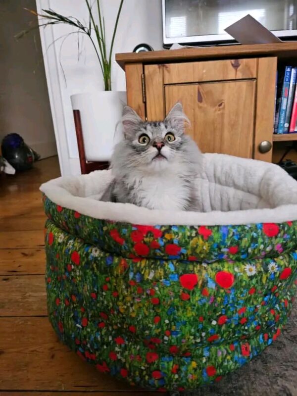 Soft cuddle cup pet bed for cats and small dogs