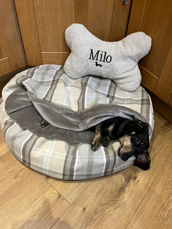 plush snuggle pet bed for cats and small dogs plush snuggle pet bed for cats and small dogs