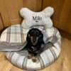 soft calming pet bed with built-in blanket for cats soft calming pet bed with built-in blanket for cats