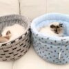 cute cat relaxing in bee print cozy pet bed