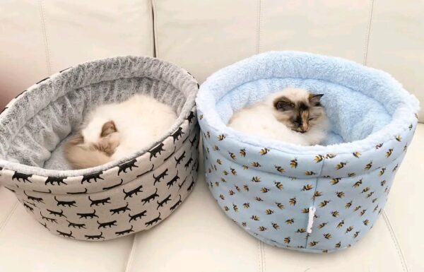 cute cat relaxing in bee print cozy pet bed