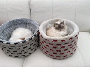 soft cozy pet bed with bee pattern and raised sides soft cozy pet bed with bee pattern and raised sides