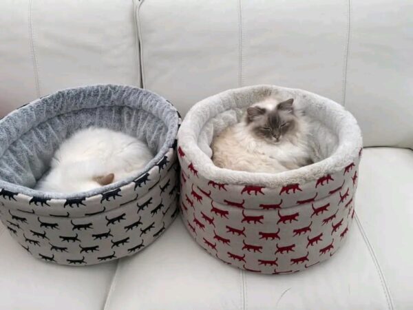 soft cozy pet bed with bee pattern and raised sides