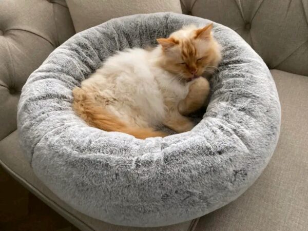 fluffy round pet bed with raised edges for comfort