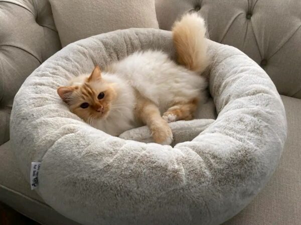 cozy donut bed for small dogs and cats sleeping