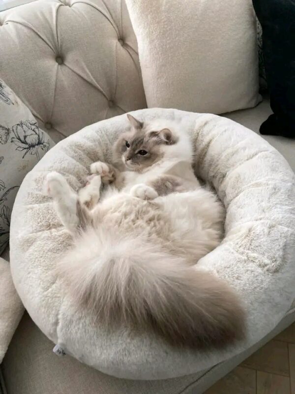 ultra soft calming donut pet bed for cats and dogs