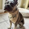 custom dog bandana collar for small dogs and cats