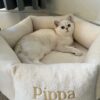 Soft pet bed for cats and small dogs