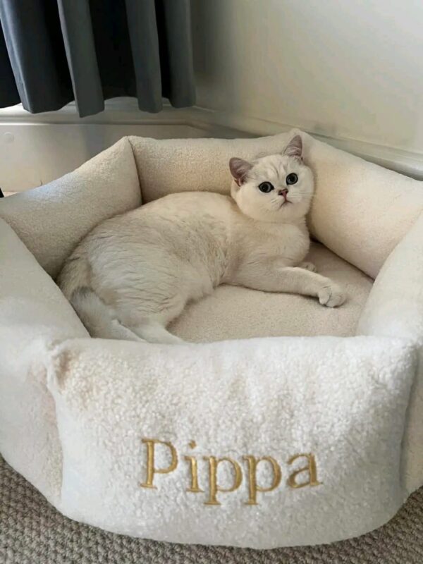 Soft pet bed for cats and small dogs
